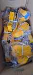 Pasy transportowe 12m 4t