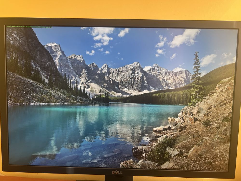 Монітор Dell UP3017