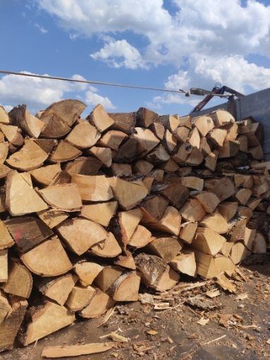 Drewno BUK z darmową dostawą