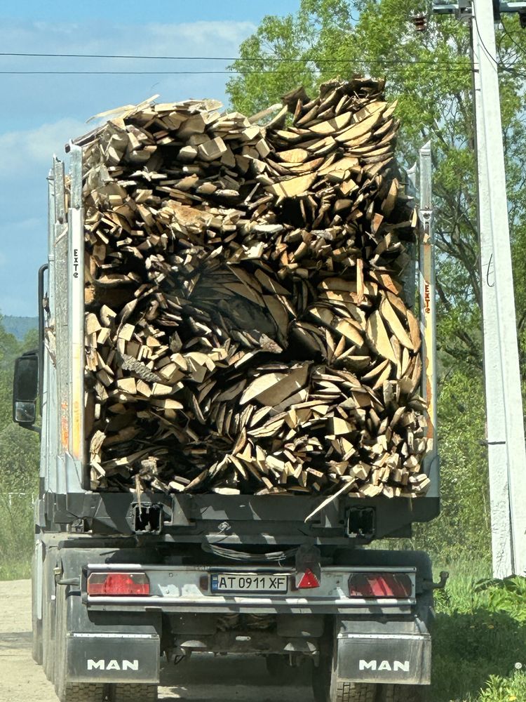Продам лісовоз Ман