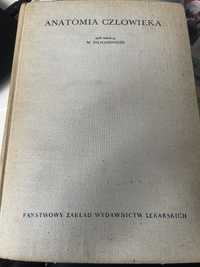 Anatomia człowieka podrecznik dla studentów medycyny 1974