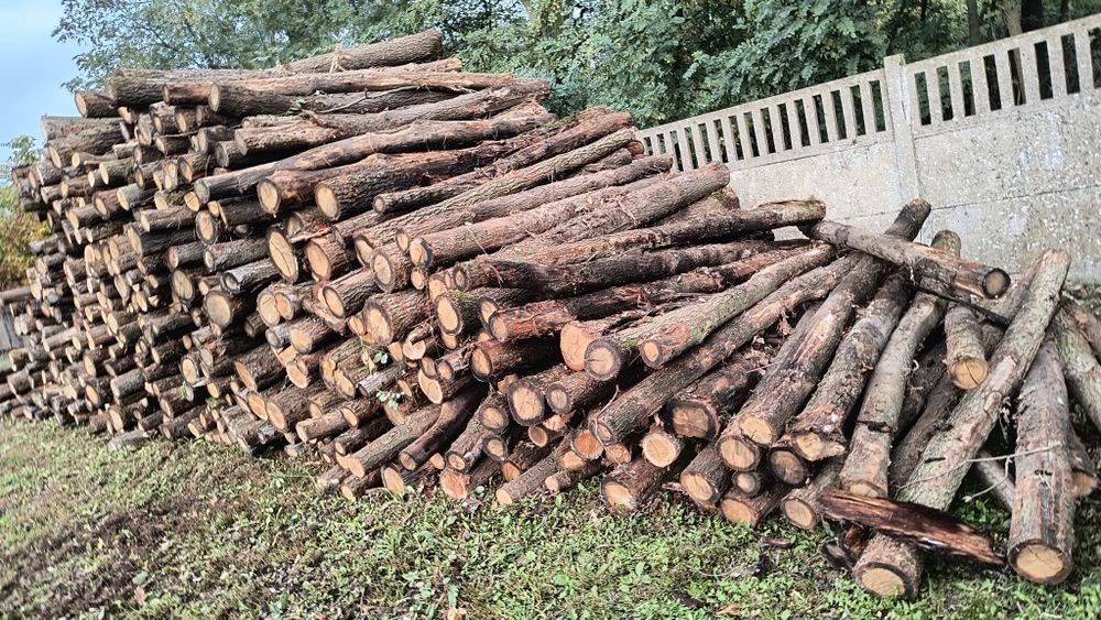 Słupki dębowe 2.4m