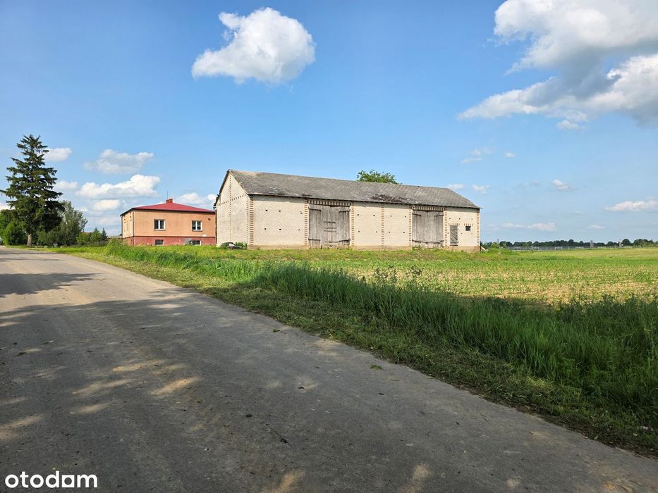 Działka MR_budynek gospodarczy_szybki dojazd S17