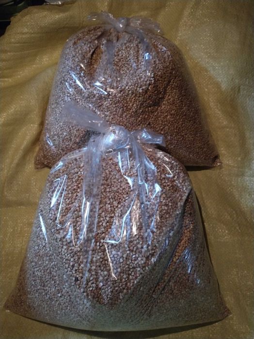 Kasza gryczana z pola bez roundup