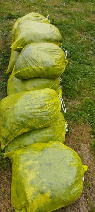 Nawóz krowi na działkę