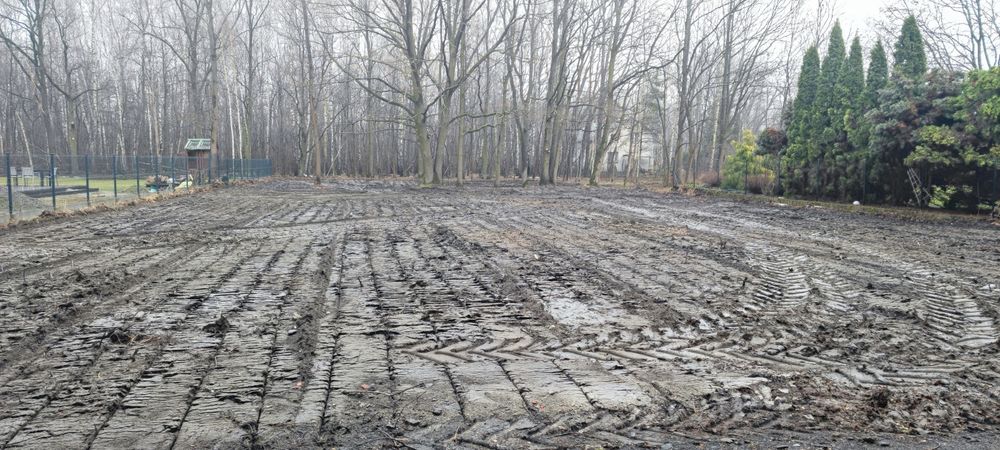 Wycinka drzew / Pielęgnacja drzew / Czyszczenie działek / Karczowanie