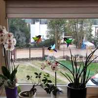 Ptaszki witrażowe na okno szklane zawieszki zestaw 3 sztuk komplet