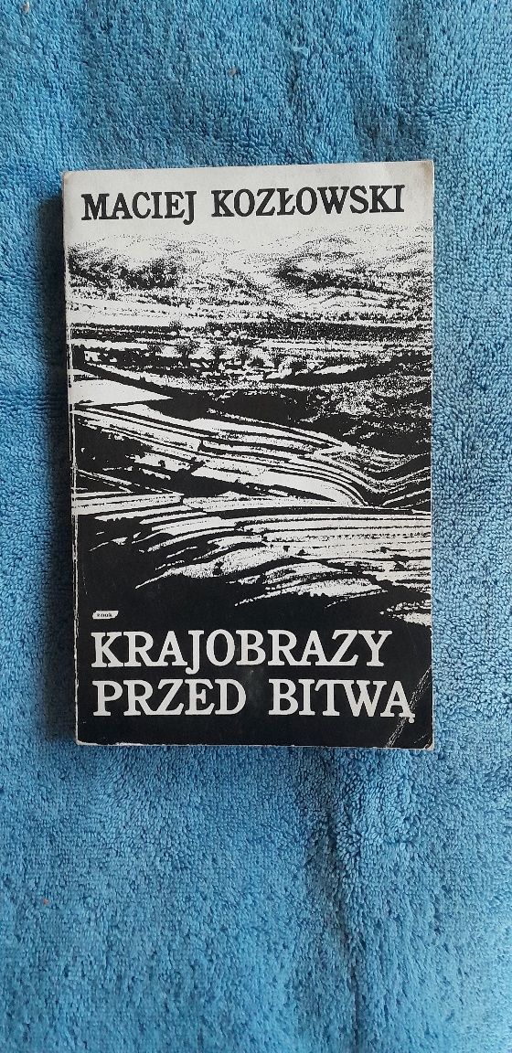 Krajobraz przed bitwą/ Maciej Kozłowski