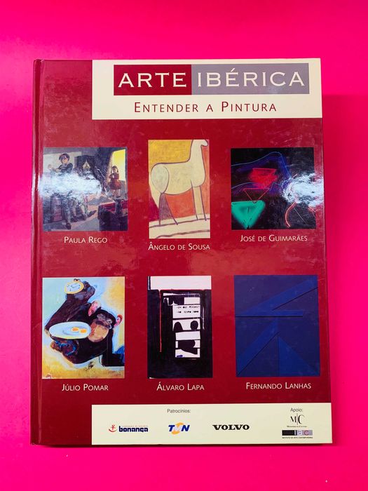 Entender a Pintura