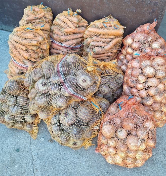 Warzywa od rolnika Marchew pieteuszka Kapusta Seler cebula buraczki