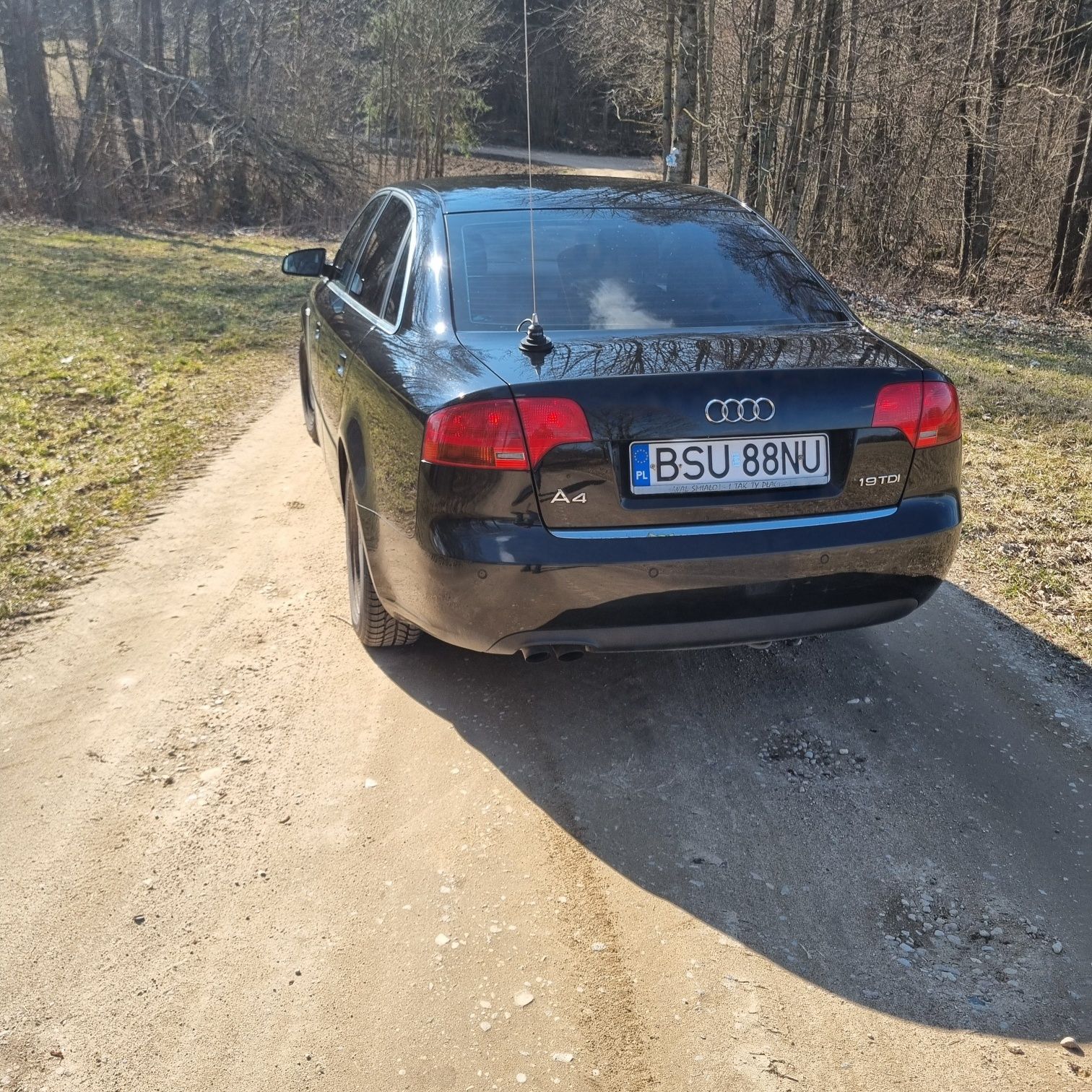 Audi a4 b7 1.9tdi
