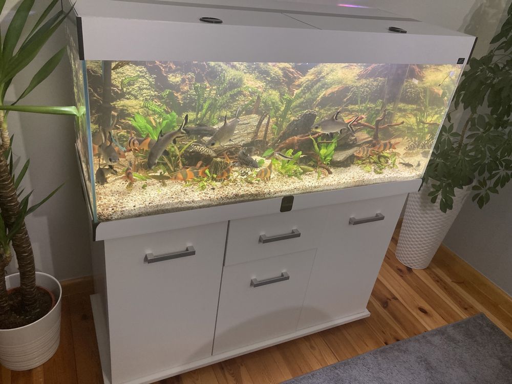 Zestaw akwarystyczny Diversa Solid LED 300L