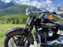 Harley-Davidson Softail Springer Classic Bezwypadkowy