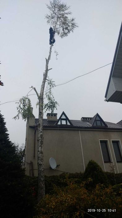 Обрезка деревьев любой сложности,автовышка,альпинисты,все аккуратно.