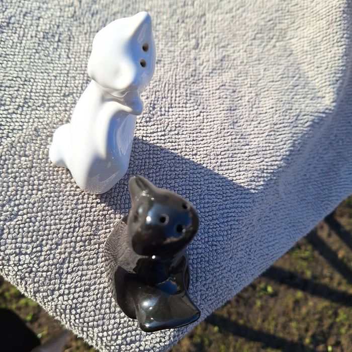 Zestaw solniczka I pieprzniczka w kształcie Kotka I Kaczki