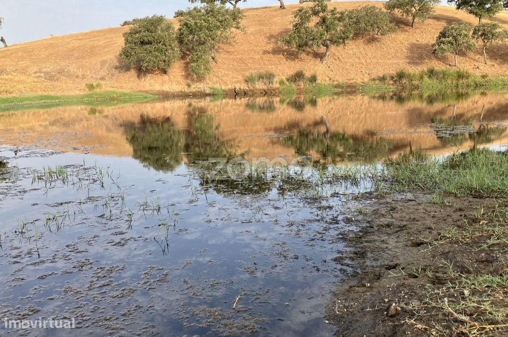 Herdade em Alentejo Beja Portugal