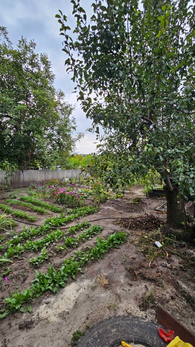 Продам Дом 4 комнаты участок 6 соток
