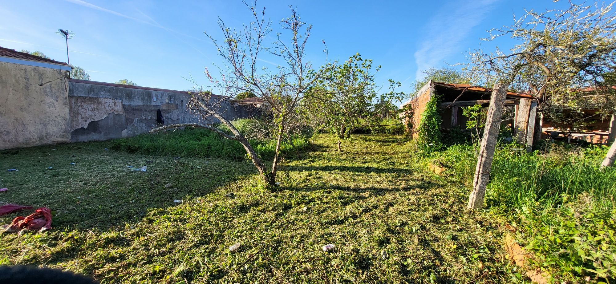 Limpeza de terrenos