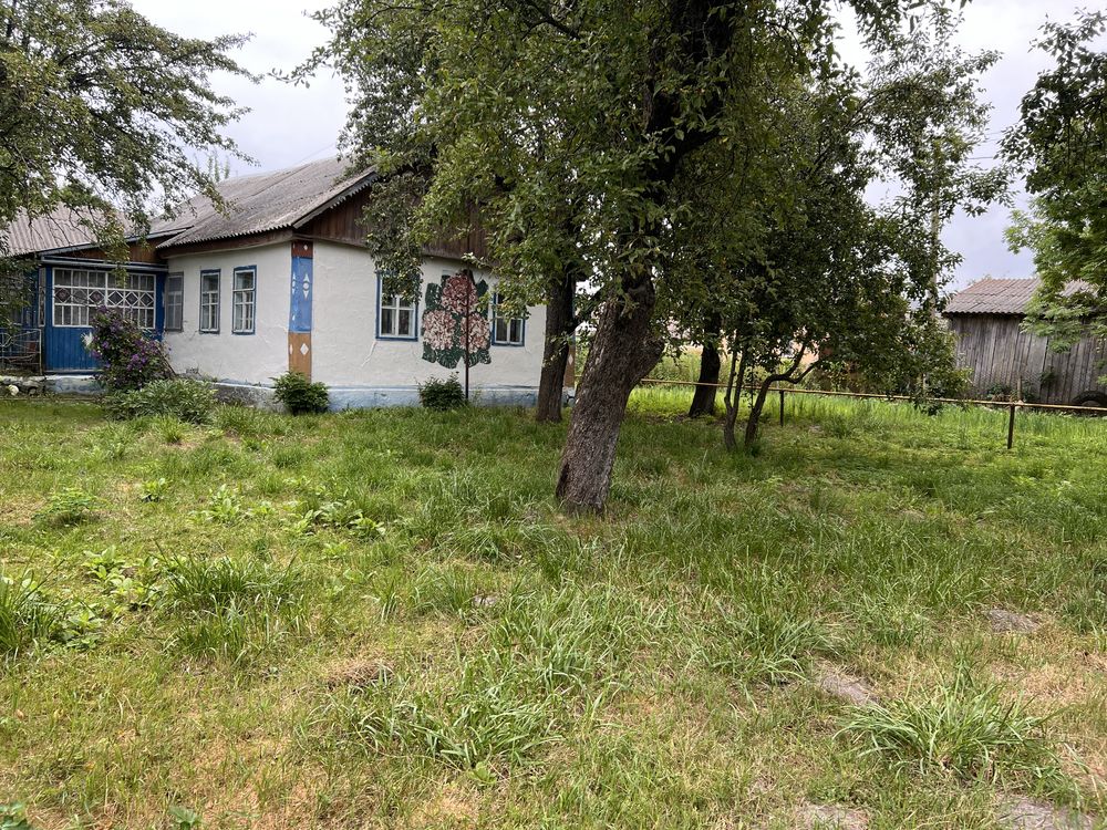 Будинок,дача,приватна садиба,с.Степанівка,Ємільчине.