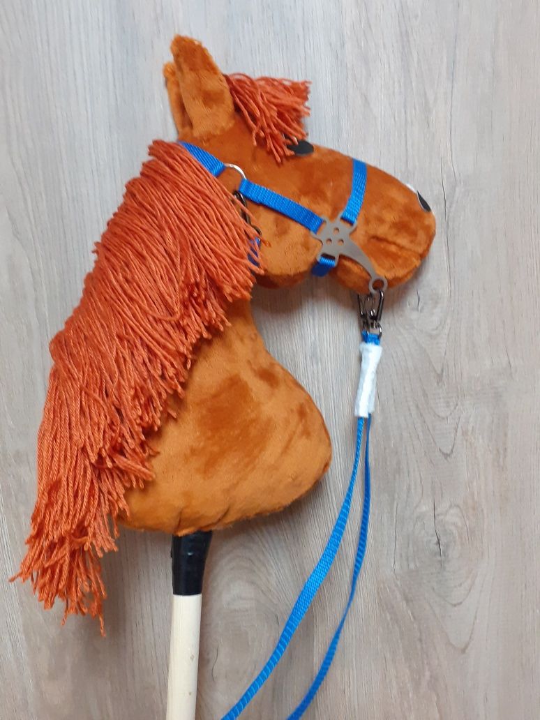 Konik hobby horse