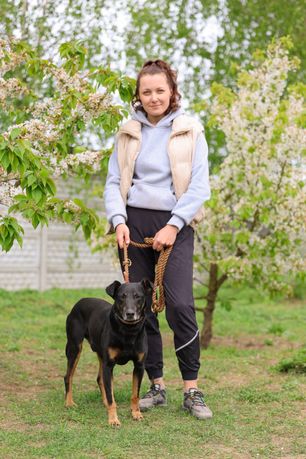 Balto pies ideał, czeka na nowego przyjaciela!