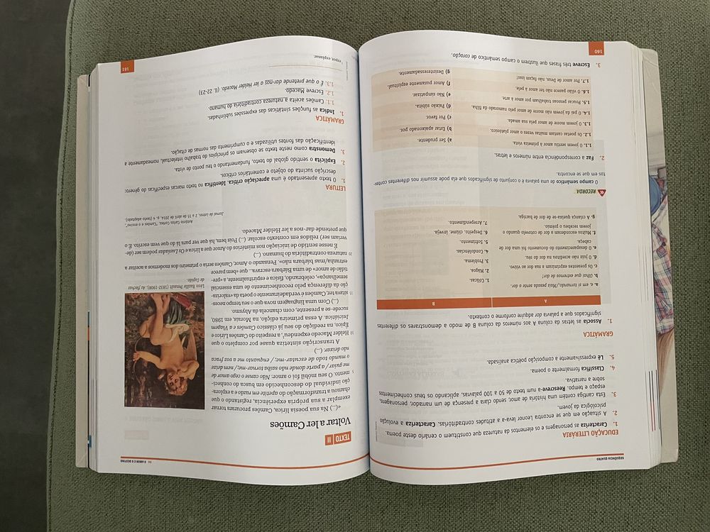 Manual Palavras 10 ano, Português