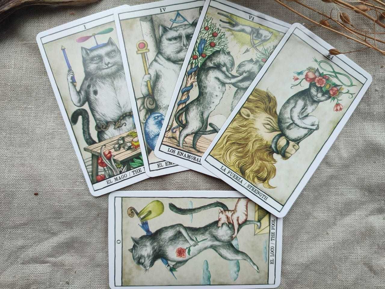 Гадальные карты таро кошек cats tarot таро с котиками котами ана жуан