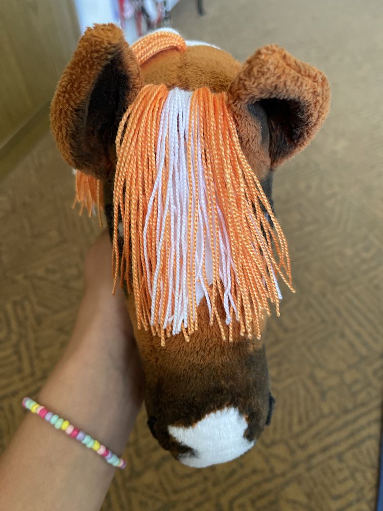 Hobby horse a4 rudy