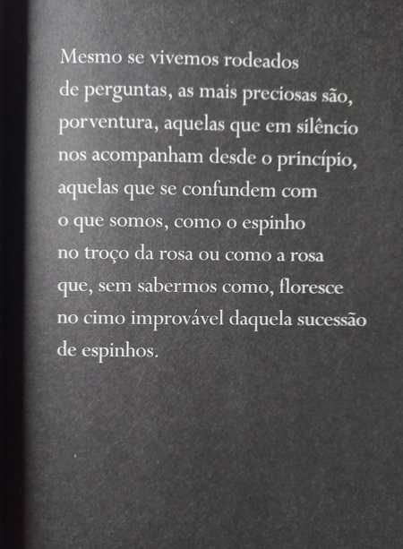 O Pequeno Caminho das Grandes Perguntas - José Tolentino Mendonça