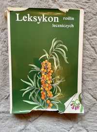 Leksykon roślin leczniczych - Rumińska Ożarowski 1990