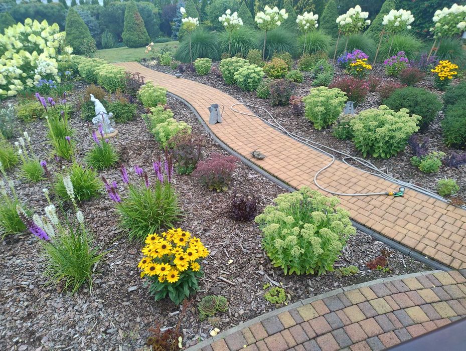 Zakładanie i pielęgnacja ogrodów, wycinka drzew