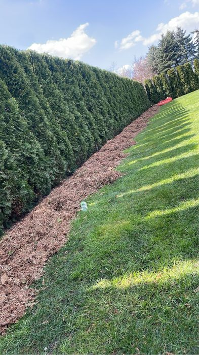 Uslugi ogrodnicze, koszenie trawy, ciecie zywopłotów, wycinka drzew