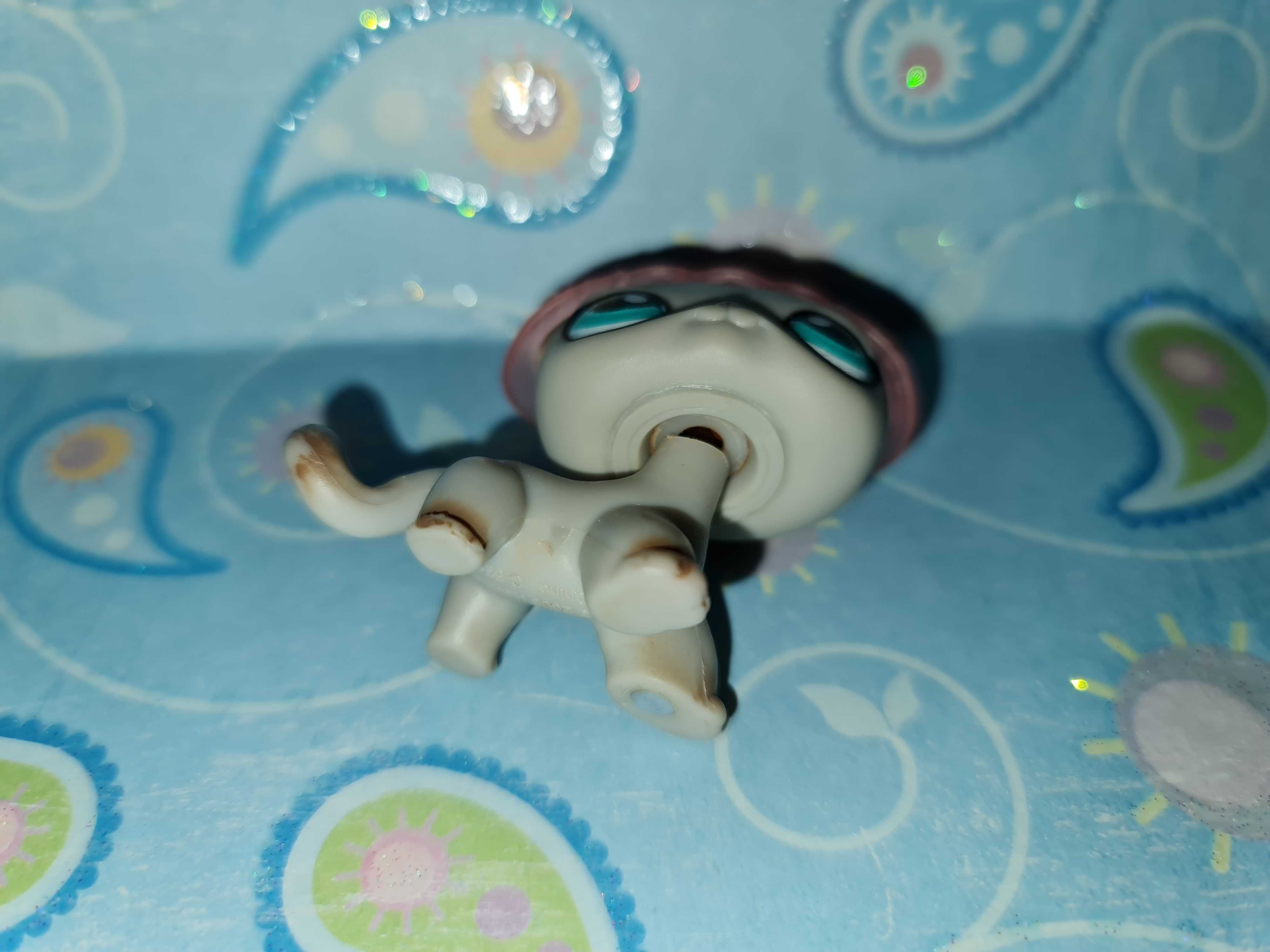 Littlest Pet Shop Kot shorthair egipski #391 oryginalny LPS