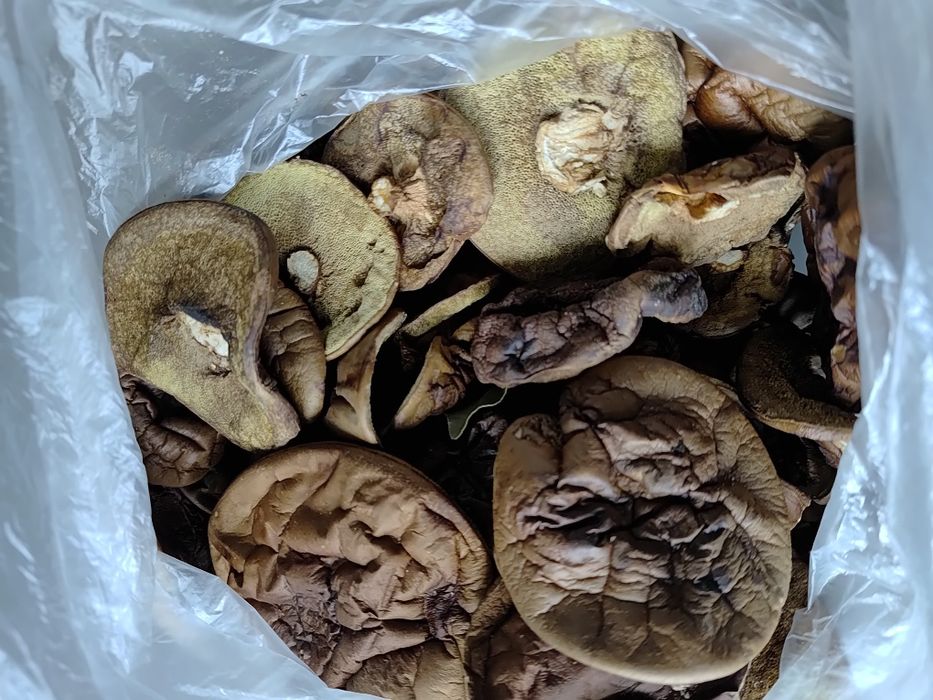 Podgrzybki suszone 200g