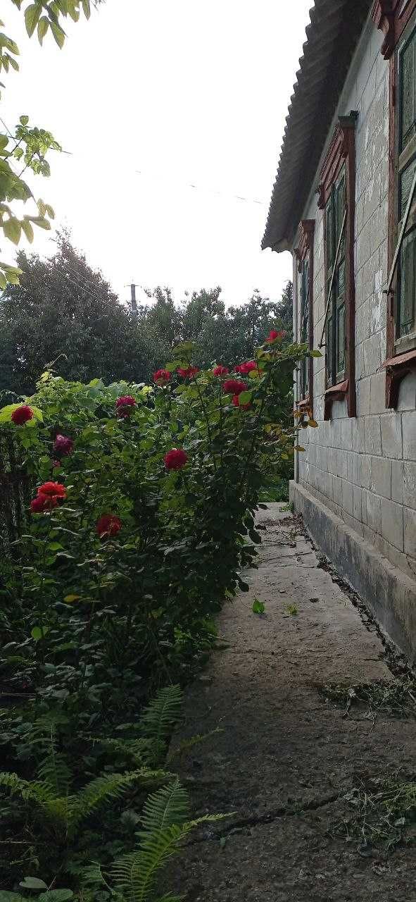 Продам дом в г. Синельниково 2