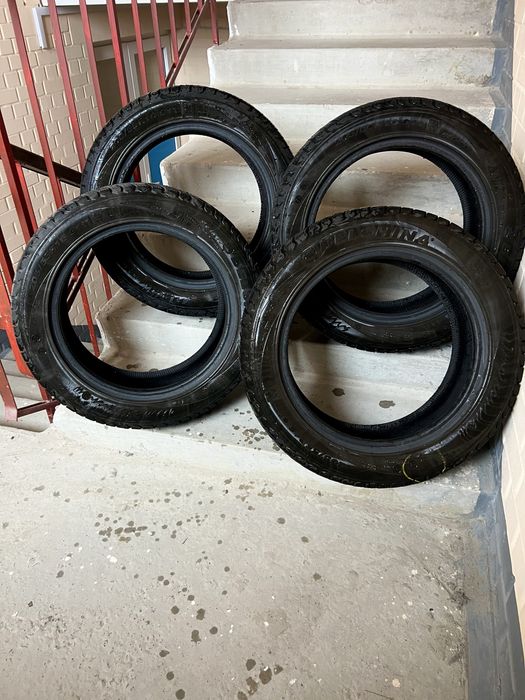 Зимние шины Belshina