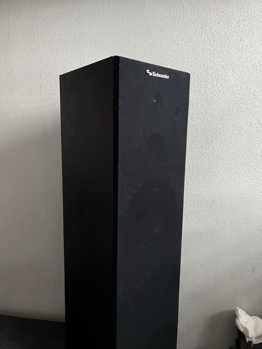 Kolumny podlogowe Schneider 29-LS