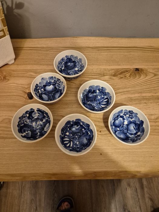 Polmiski fajans Wloslawek