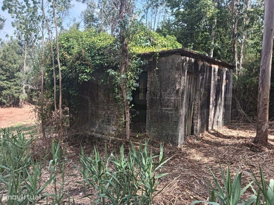 Quinta com ribeiro para venda em Vagos