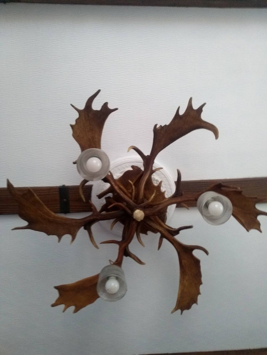 Lampa z rogów losia