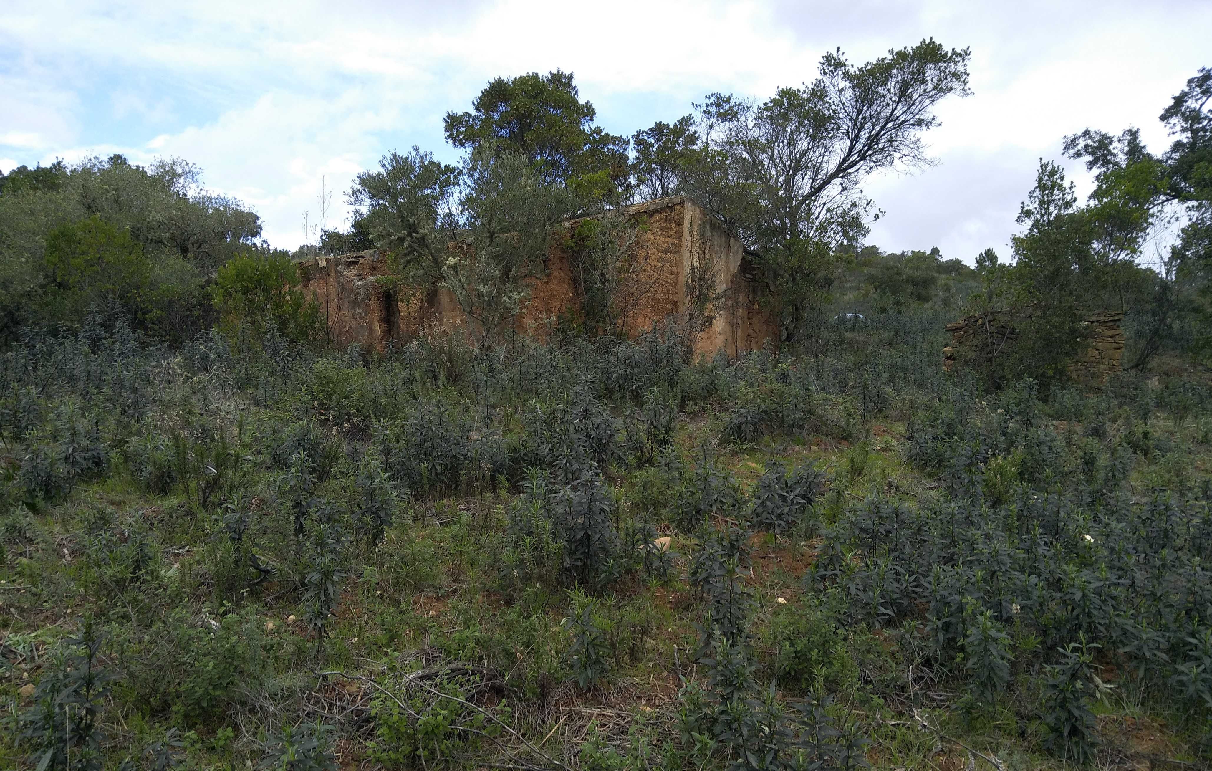Terreno com Ruína Legalizada – 11,85 ha – Aljezur