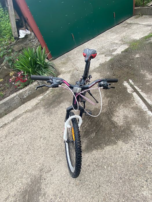 Crossride moly lady 24