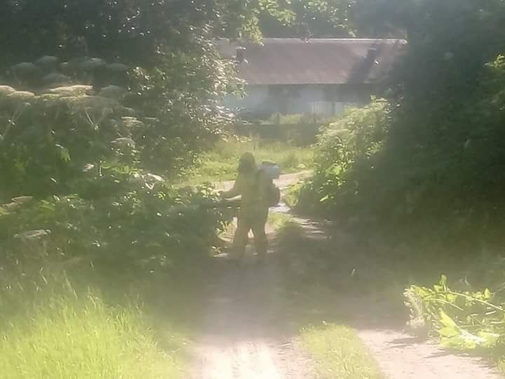 Gazowanie zboża, dezynsekcja magazynów/silosów, usuwanie barszczu s.