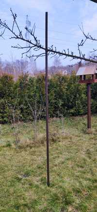 Słupek Ogrodowy (tyczka/palik) - 240 cm (fi 30 mm)