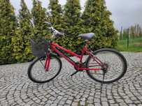 Rower  miejsko-trekkingowy Victory z dodatkami
