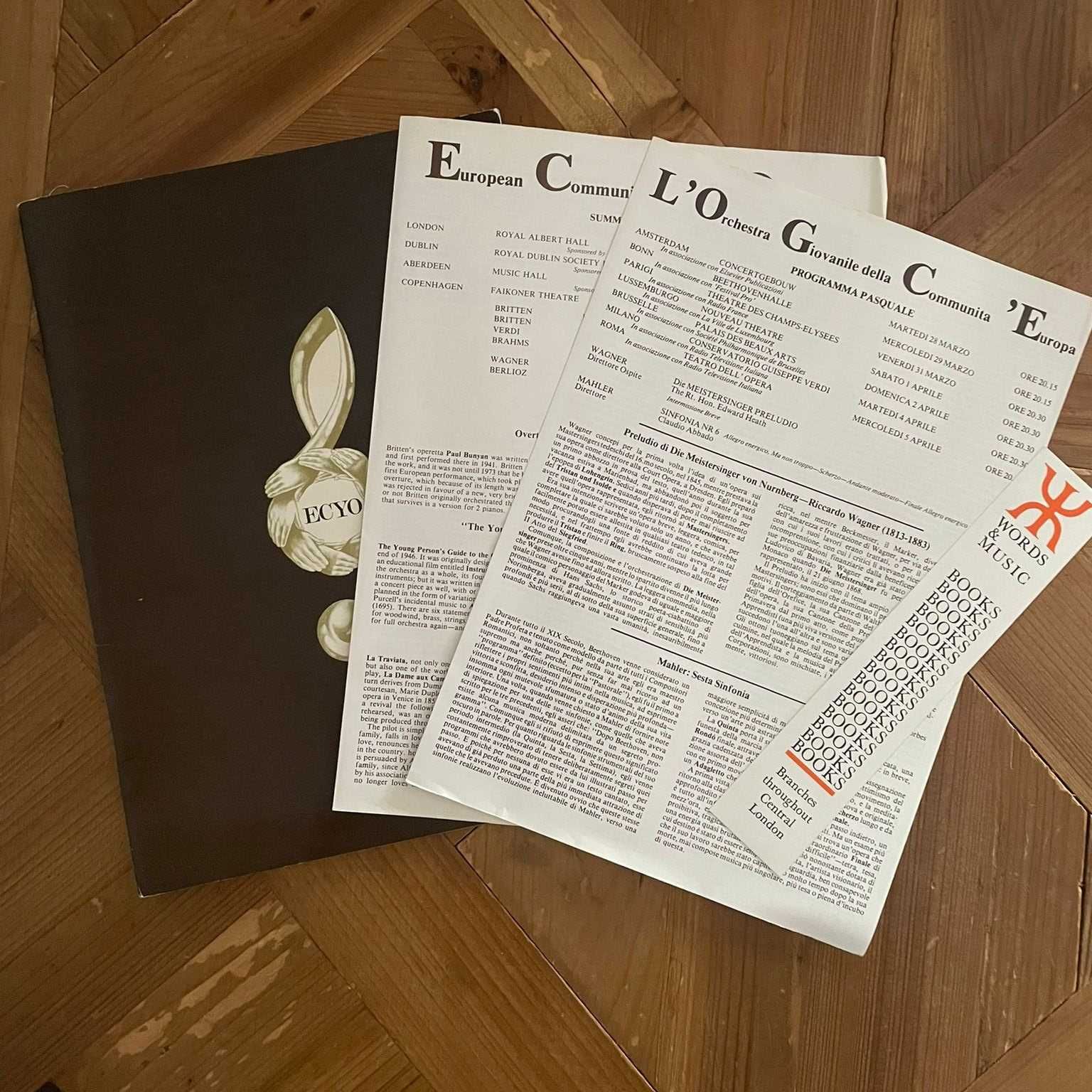 Brochura da Criação “EUYO  - European Union Youth Orchestra”