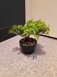 Sztuczne drzewko Bonsai 17cm