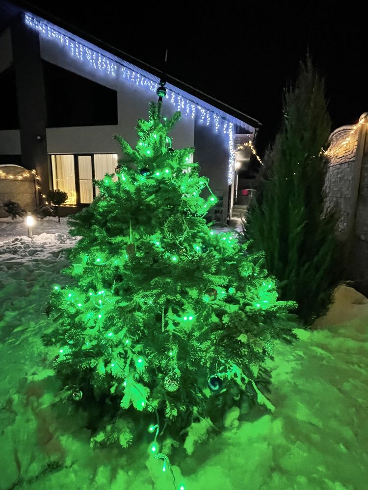 Дом Бабурка
