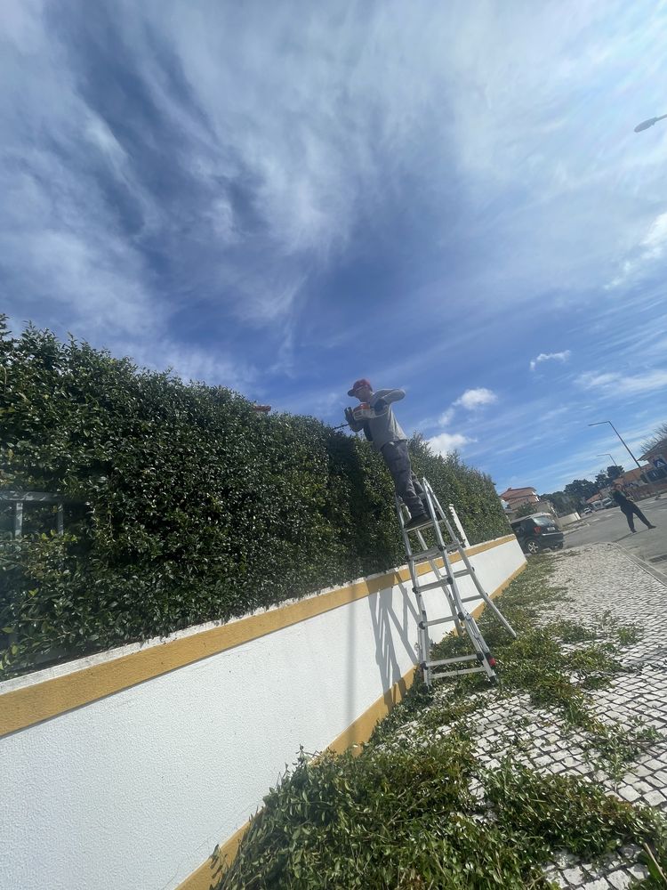 Jardinagem e Limpeza de Terreno