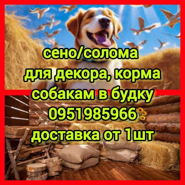 СЕНО ДЕКОР С ДОСТАВКОЙ от 1 шт в тюках мешках, сіно горное.